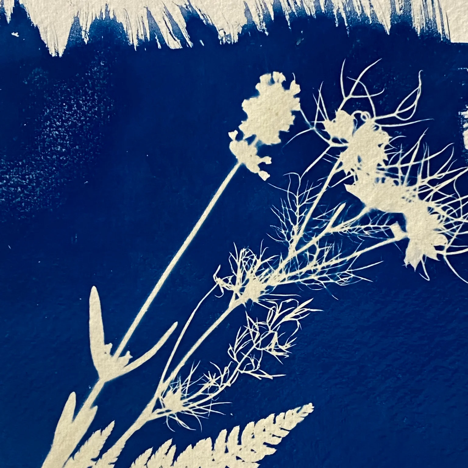 Fab Friday - Cyanotype - 31st July 2026 - Image 3