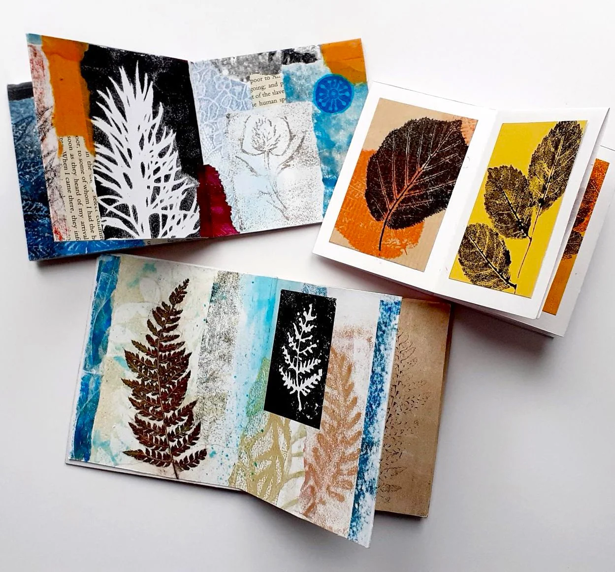 Gel Plate Printing - Botanical Books with Karen Carter - Thurs 23rd July 2026 - Image 3
