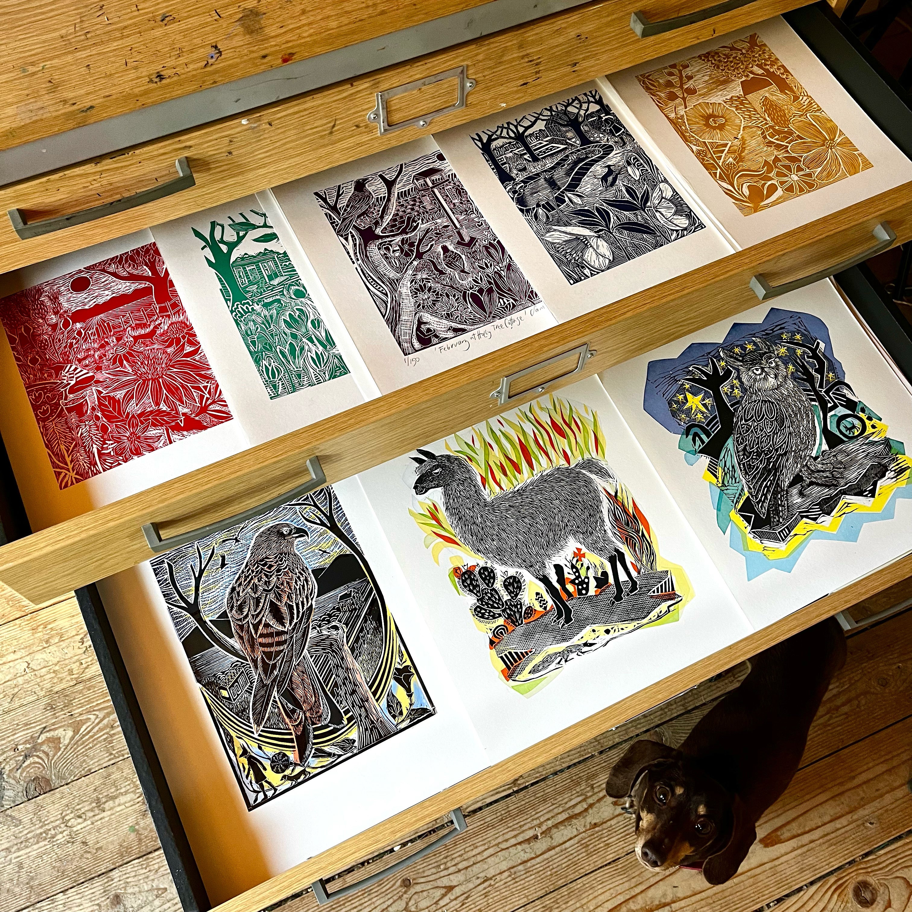 Linocut with Sam Marshall - 2 day course - Thurs 20th & Friday 21st August 2026 - Image 5